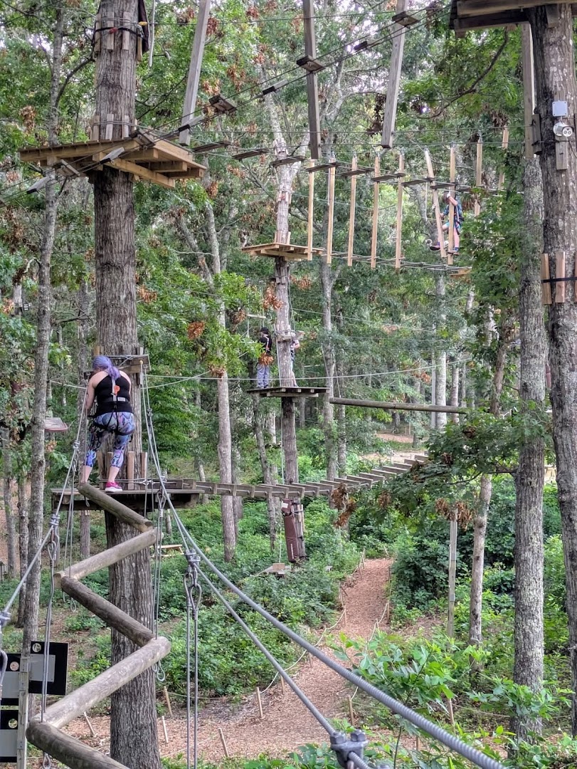 The Adventure Park at Heritage Museums & Gardens image 2